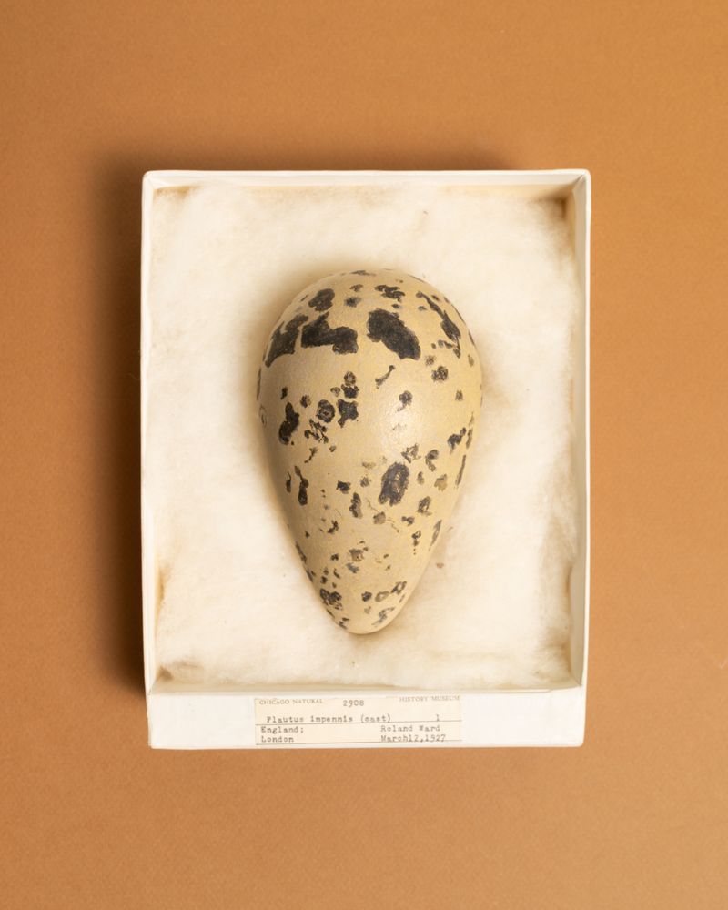 © Madeline Cass - Image from the sky burial photography project
