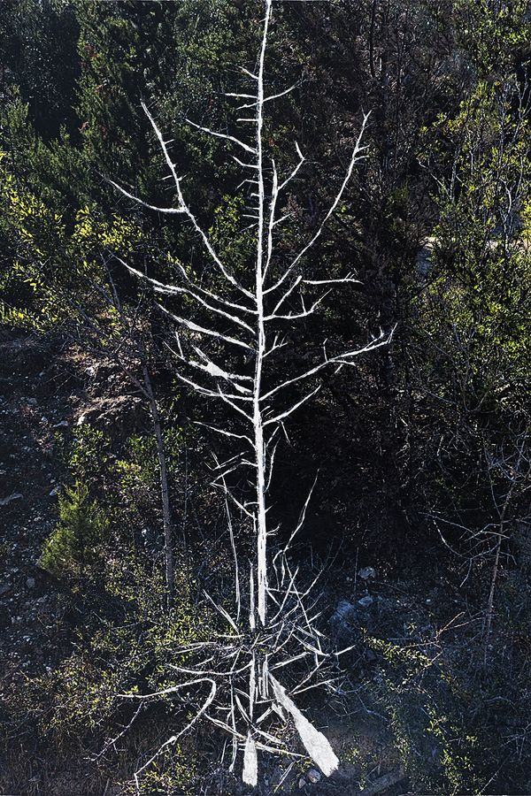 © Katerina Digoni - Image from the Erased Scenes of Odyssey photography project