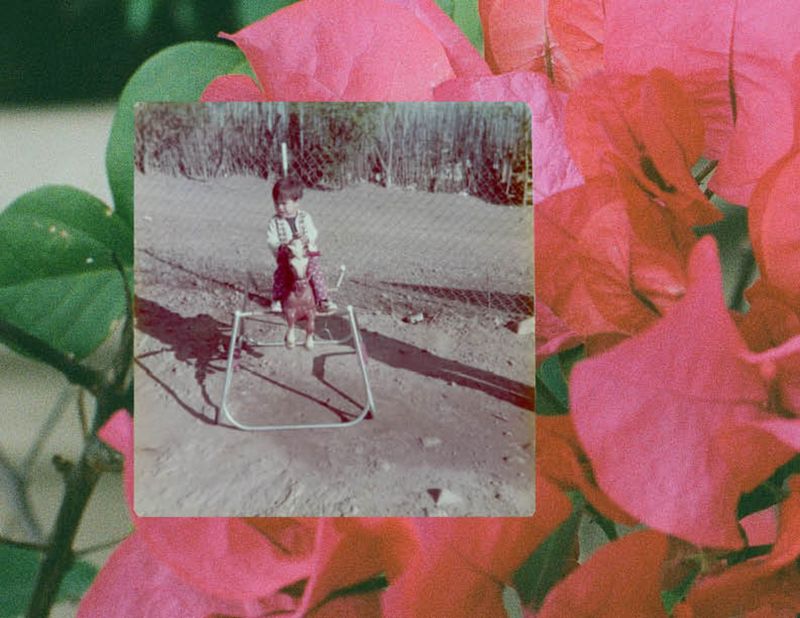 © Elizabeth Trejo - Image from the Where did the instinct go? photography project