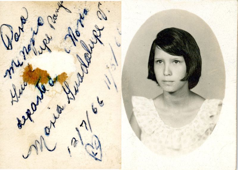 © Elizabeth Trejo - Image from the Where did the instinct go? photography project
