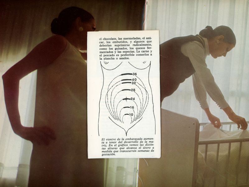 © Elizabeth Trejo - Image from the Where did the instinct go? photography project