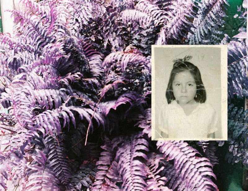 © Elizabeth Trejo - Image from the Where did the instinct go? photography project