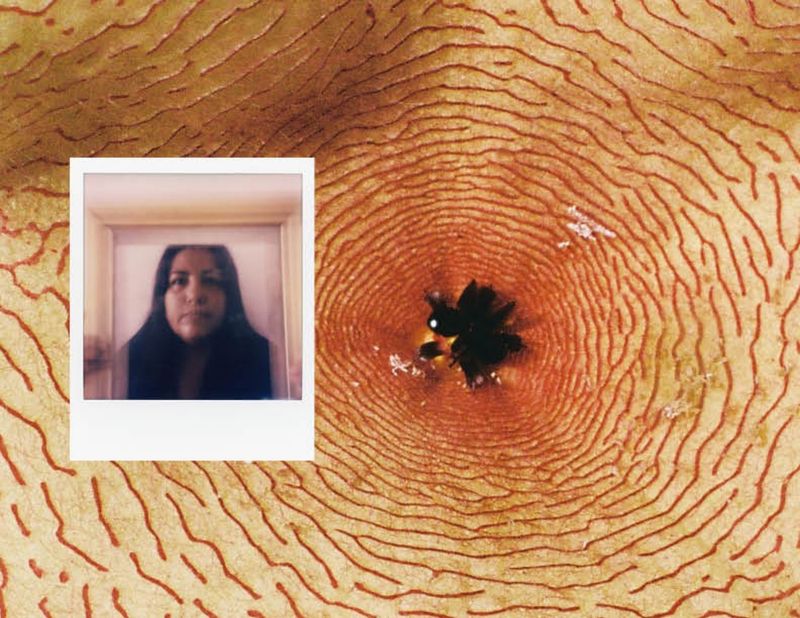 © Elizabeth Trejo - Image from the Where did the instinct go? photography project