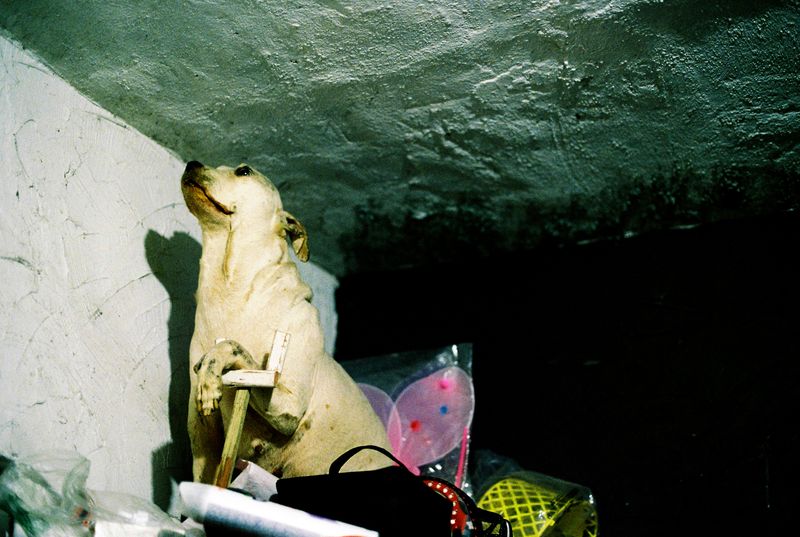 © Elizabeth Trejo - Image from the We’ll die and housework is never done, "Nos morimos y el quehacer no se acaba" photography project