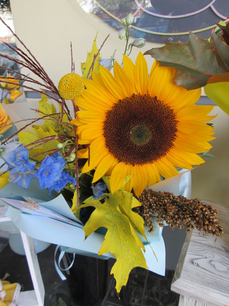 © Andrei  Kolyaskin - Flowers  of   Ivano - Frankivsk  City , Ukraine .