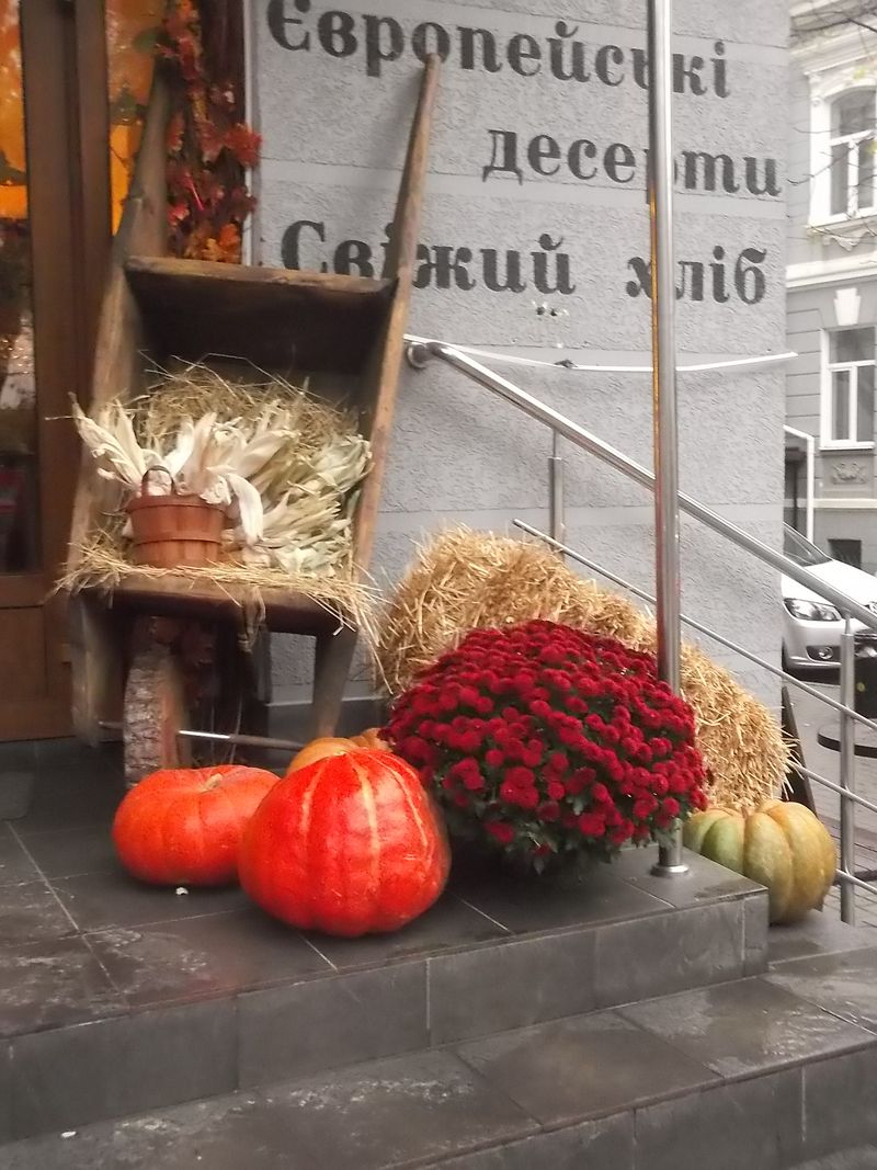 © Andrei  Kolyaskin - Street  decoration  in  Ivano - Frankivsk  City , Ukraine .
