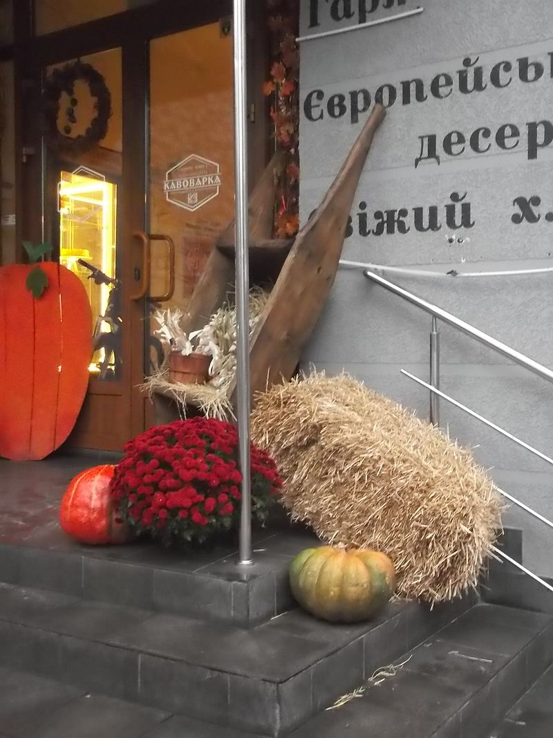 © Andrei  Kolyaskin - Street  decoration  in  Ivano - Frankivsk  City , Ukraine .