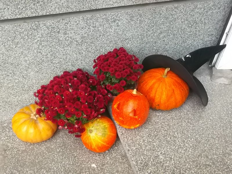 © Andrei  Kolyaskin - Street  decoration  in  Ivano - Frankivsk  City , Ukraine .