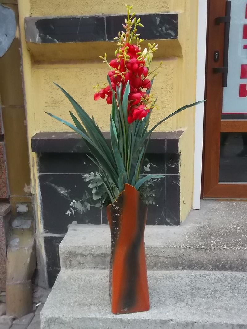 © Andrei  Kolyaskin - Flowers  in  Ivano - Frankivsk  City , Ukraine .