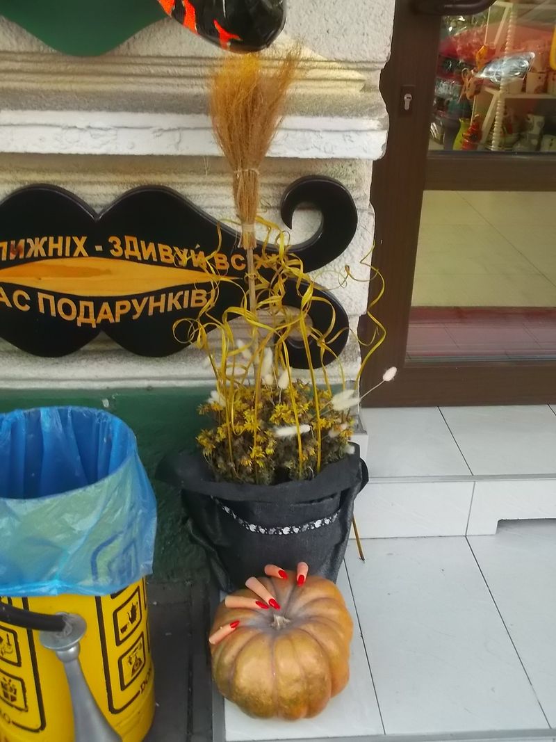 © Andrei  Kolyaskin - Street  decoration  in  Ivano - Frankivsk  City , Ukraine .