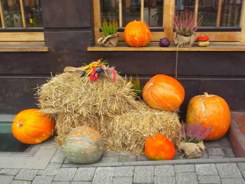 © Andrei  Kolyaskin - Street  decoration  in  Ivano - Frankivsk  City , Ukraine .