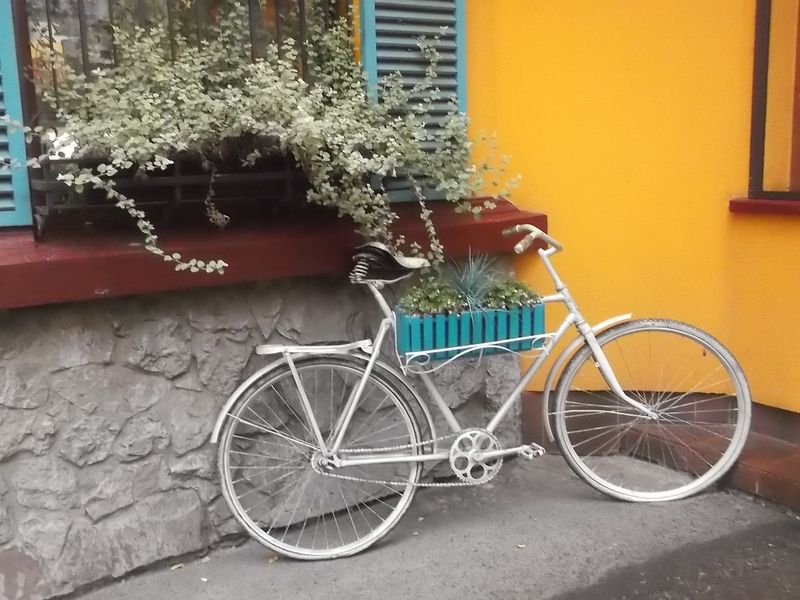 © Andrei  Kolyaskin - Street  decoration  in  Ivano - Frankivsk  City , Ukraine .
