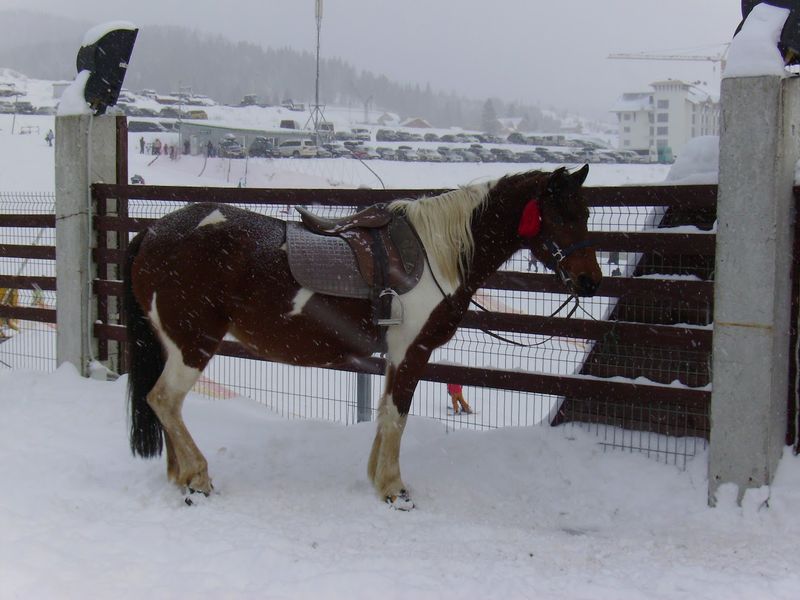 © Andrei  Kolyaskin - Image from the Bukovel  5 photography project