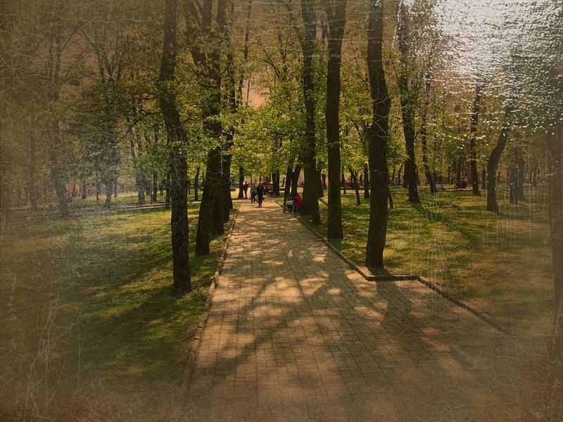 © Andrei  Kolyaskin - In  town  Drogobych  of  Lviv  region , Ukraine .