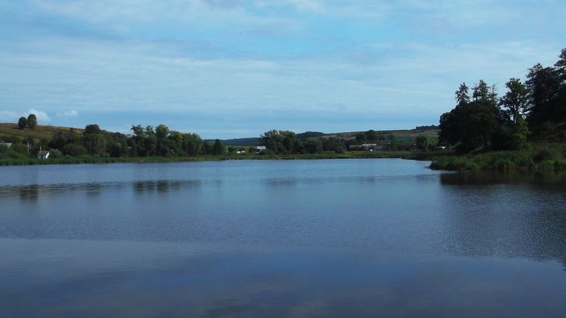 © Andrei  Kolyaskin - Lake  near   Svirzh  Castle  from  15th  century  in   village  Svirzh  of  Lviv  region , Ukraine .