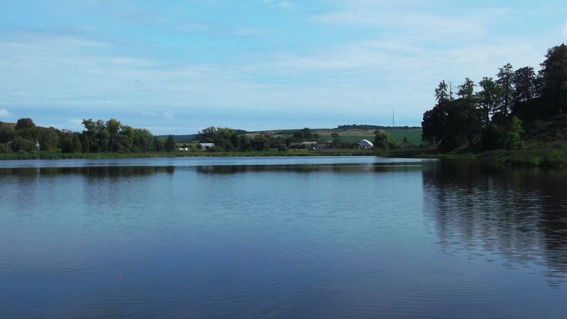 © Andrei  Kolyaskin - Lake  near   Svirzh  Castle  from  15th  century  in   village  Svirzh  of  Lviv  region , Ukraine .