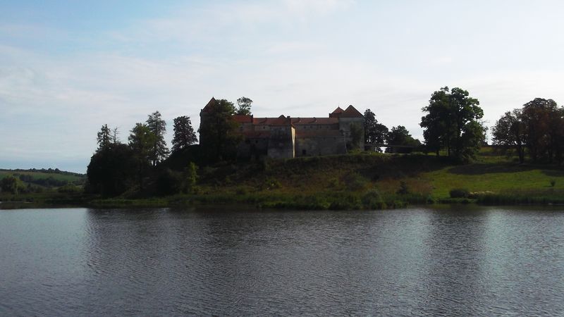 © Andrei  Kolyaskin - Lake  and   Svirzh  Castle  from  15th  century  in   village  Svirzh  of  Lviv  region , Ukraine .