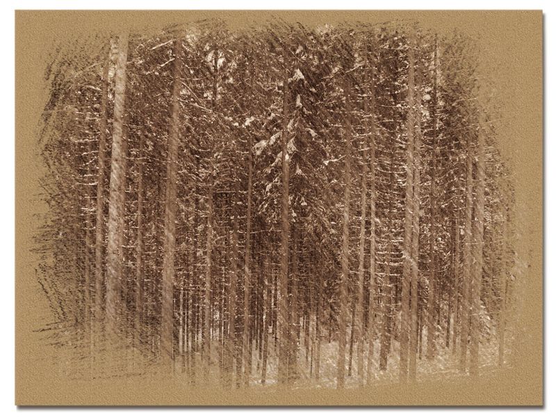 © Andrei  Kolyaskin - Image from the Bukovel  in  trois  coleur  drawing  2 photography project