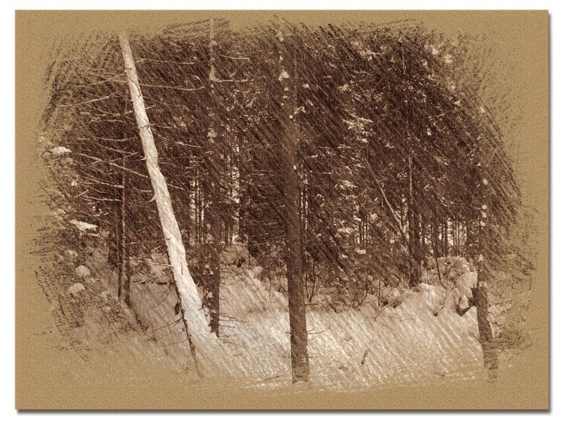 © Andrei  Kolyaskin - Image from the Bukovel  in  trois  coleur  drawing  2 photography project