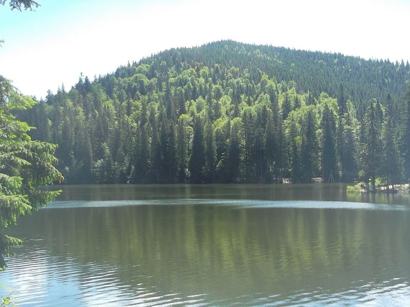 © Andrei  Kolyaskin - Image from the Synevir  6 photography project