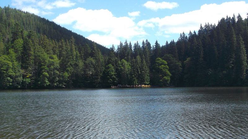 © Andrei  Kolyaskin - Image from the Synevir  6 photography project