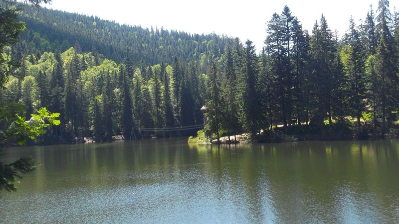 © Andrei  Kolyaskin - Image from the Synevir  6 photography project