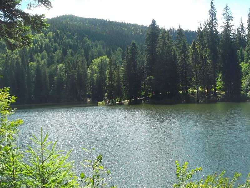 © Andrei  Kolyaskin - Image from the Synevir  6 photography project