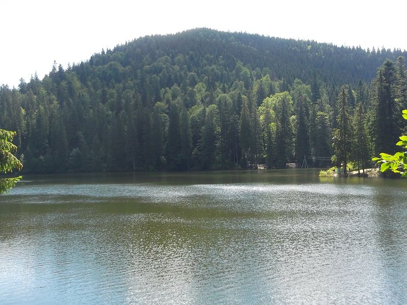 © Andrei  Kolyaskin - Image from the Synevir  6 photography project