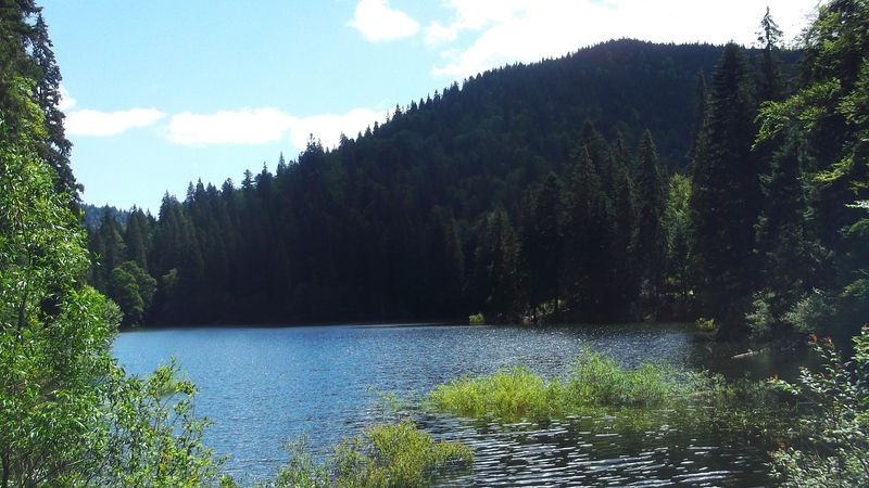 © Andrei  Kolyaskin - Image from the Synevir  6 photography project