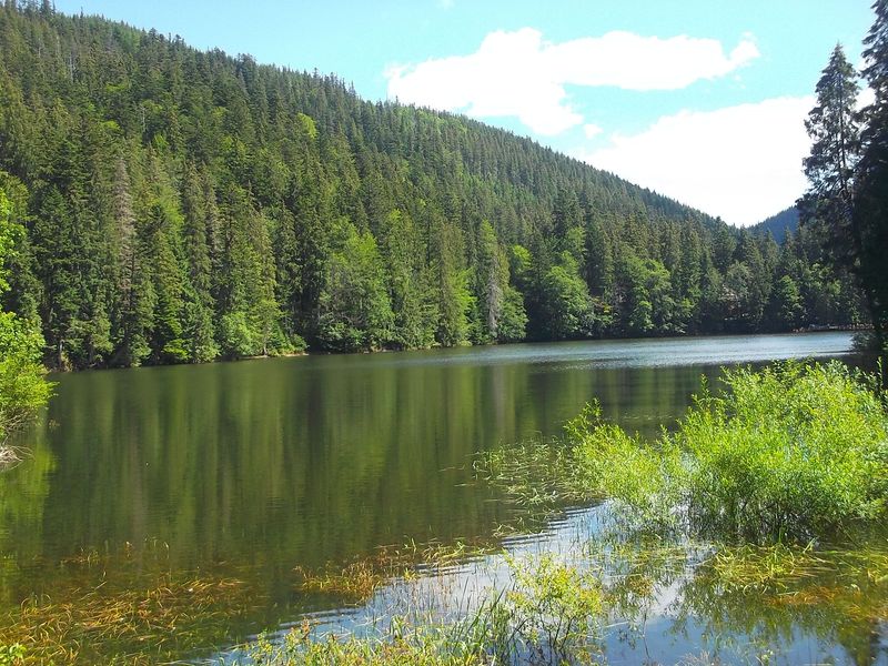 © Andrei  Kolyaskin - Image from the Synevir  6 photography project