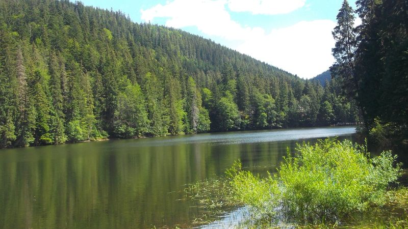 © Andrei  Kolyaskin - Image from the Synevir  6 photography project