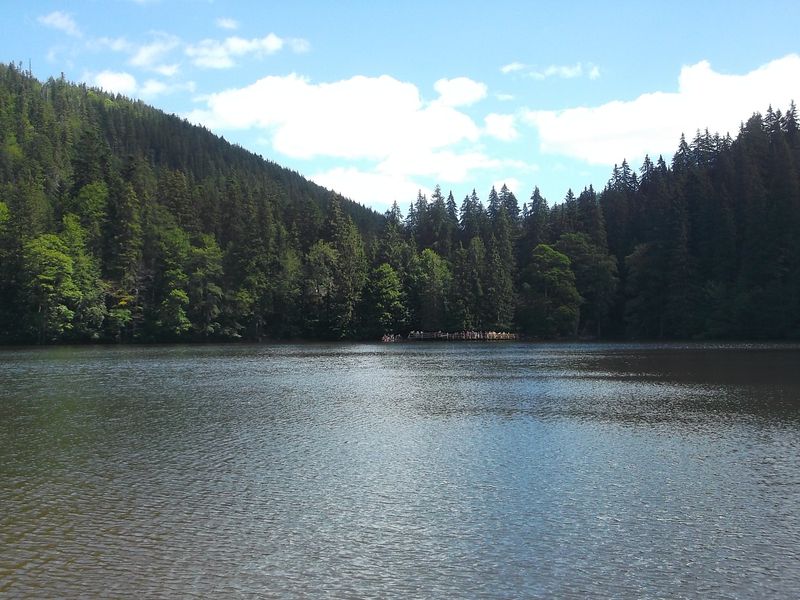 © Andrei  Kolyaskin - Image from the Synevir  6 photography project