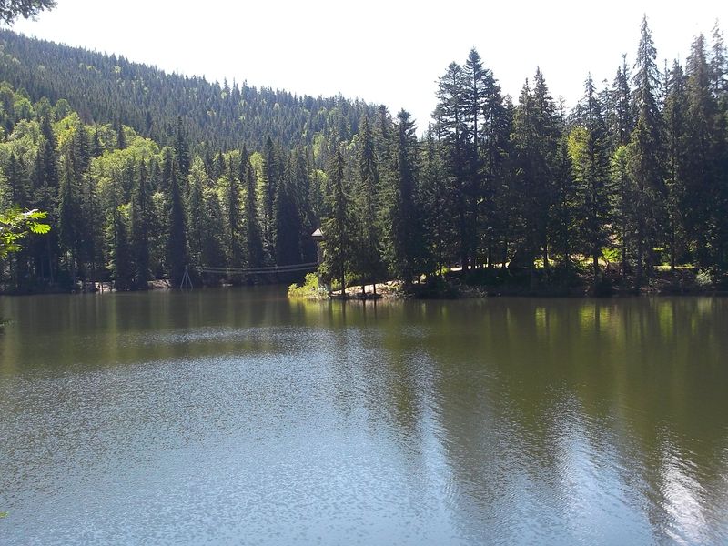 © Andrei  Kolyaskin - Image from the Synevir  6 photography project