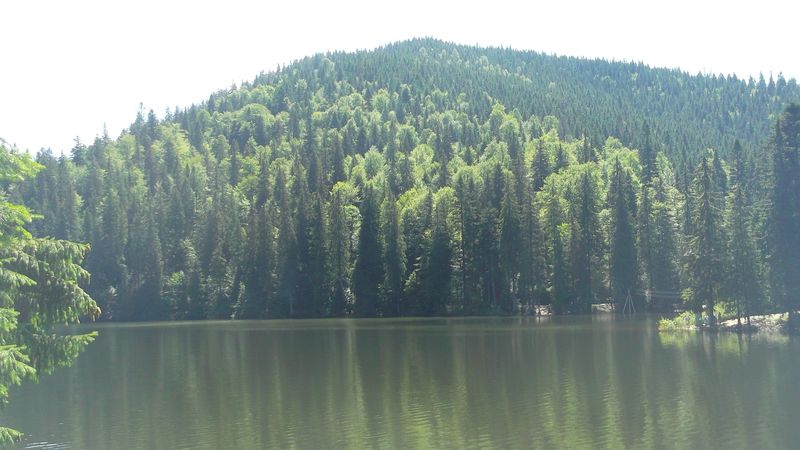 © Andrei  Kolyaskin - Image from the Synevir  6 photography project