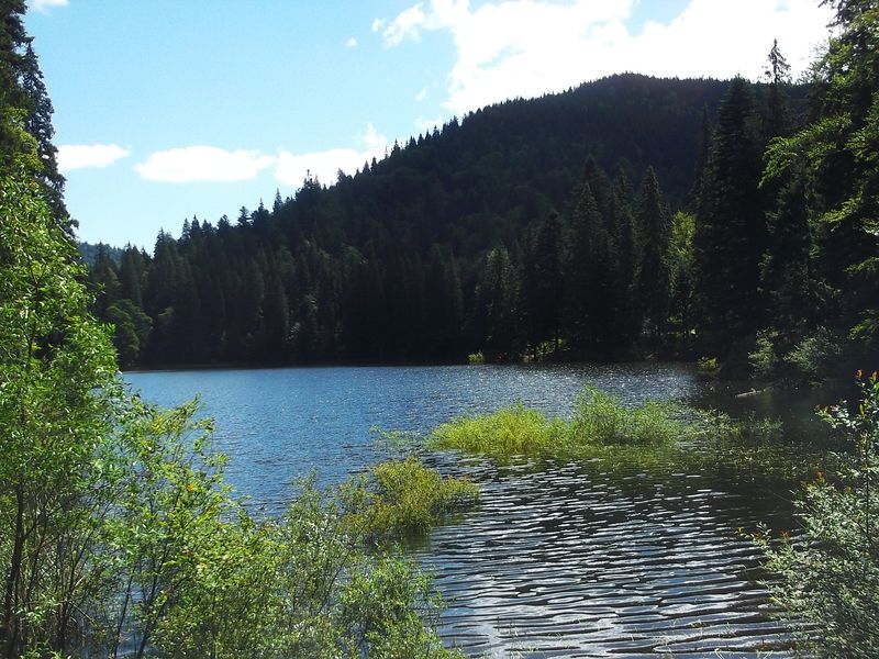 © Andrei  Kolyaskin - Image from the Synevir  6 photography project