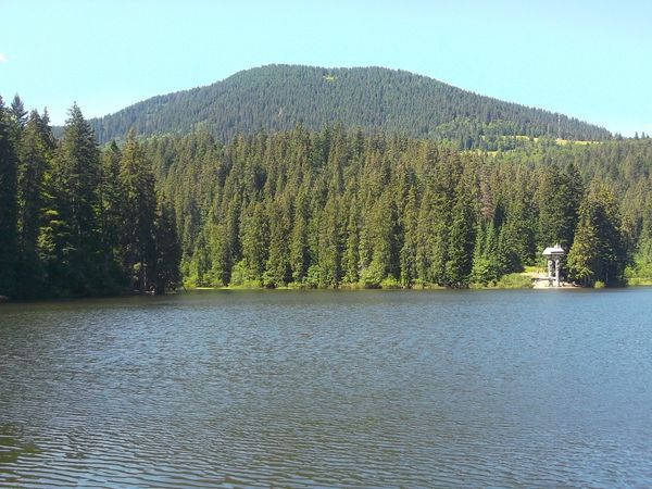 © Andrei  Kolyaskin - Image from the Synevir  6 photography project