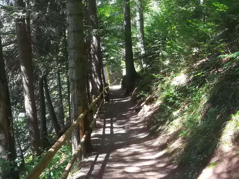 © Andrei  Kolyaskin - On the Synenir park in village Synevir of Mezhygirya area of Zacarpatian region , Ukraine .