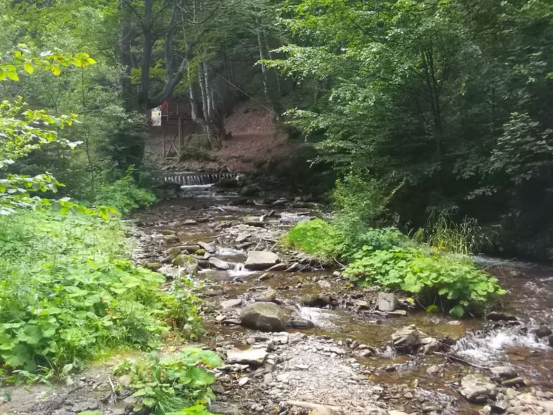 © Andrei  Kolyaskin - Near  waterfalls  Shypit  in  village    Pylypets  of  Mezhygirya  area  Zacarpatian  region , Ukraine .