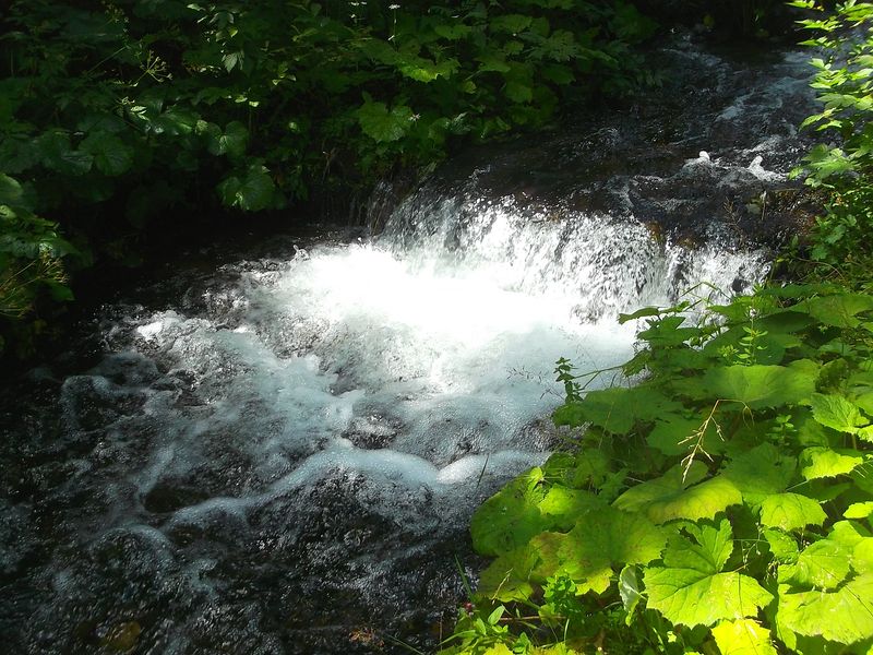 © Andrei  Kolyaskin - On  the  Synevir  Park  in  village  Synevir  of  Mezhygirya  area  Zacarpatian  region , Ukraine .