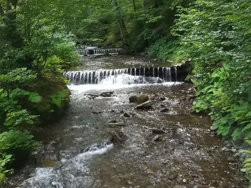 © Andrei  Kolyaskin - On  the  Synevir  Park  in  village  Synevir  of  Mezhygirya  area  Zacarpatian  region , Ukraine .