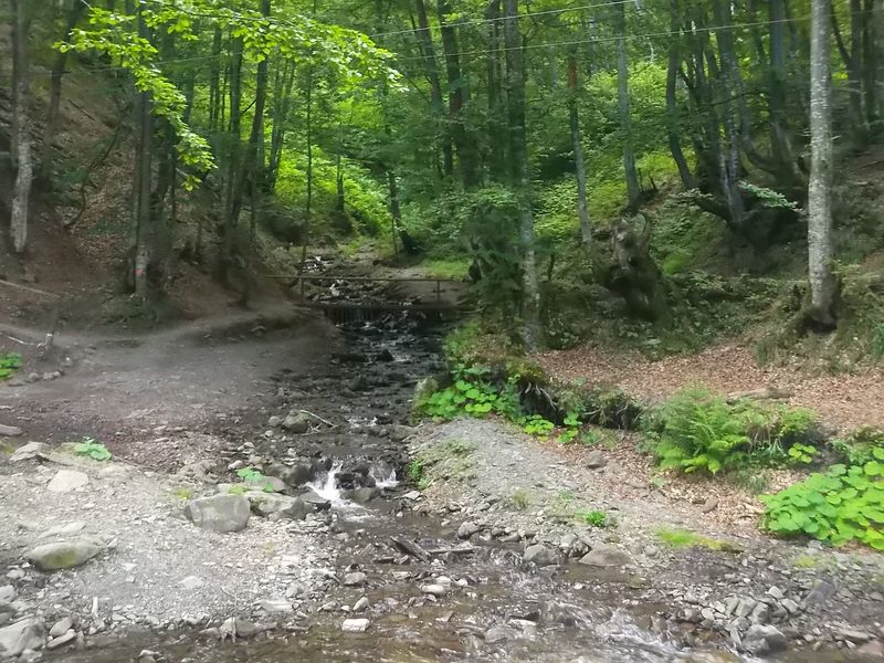 © Andrei  Kolyaskin - Near  waterfalls  Shypit  in  village    Pylypets  of  Mezhygirya  area  Zacarpatian  region , Ukraine .