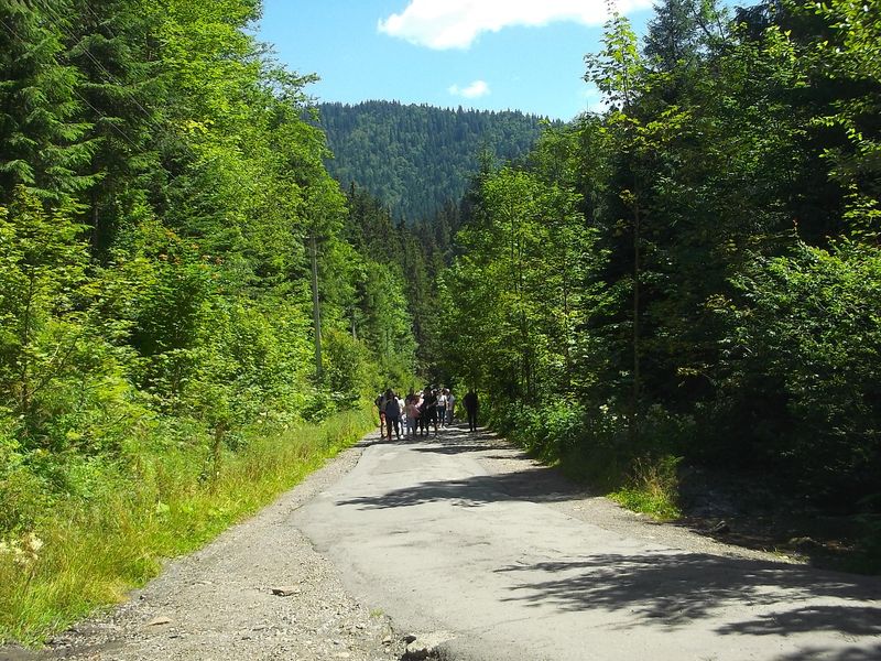 © Andrei  Kolyaskin - On  the  Synevir  Park  in  village  Synevir  of  Mezhygirya  area  Zacarpatian  region , Ukraine .