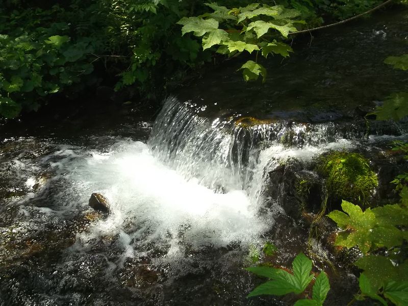 © Andrei  Kolyaskin - On  the  Synevir  Park  in  village  Synevir  of  Mezhygirya  area  Zacarpatian  region , Ukraine .