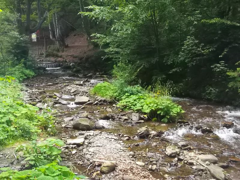 © Andrei  Kolyaskin - Near  waterfalls  Shypit  in  village    Pylypets  of  Mezhygirya  area  Zacarpatian  region , Ukraine .