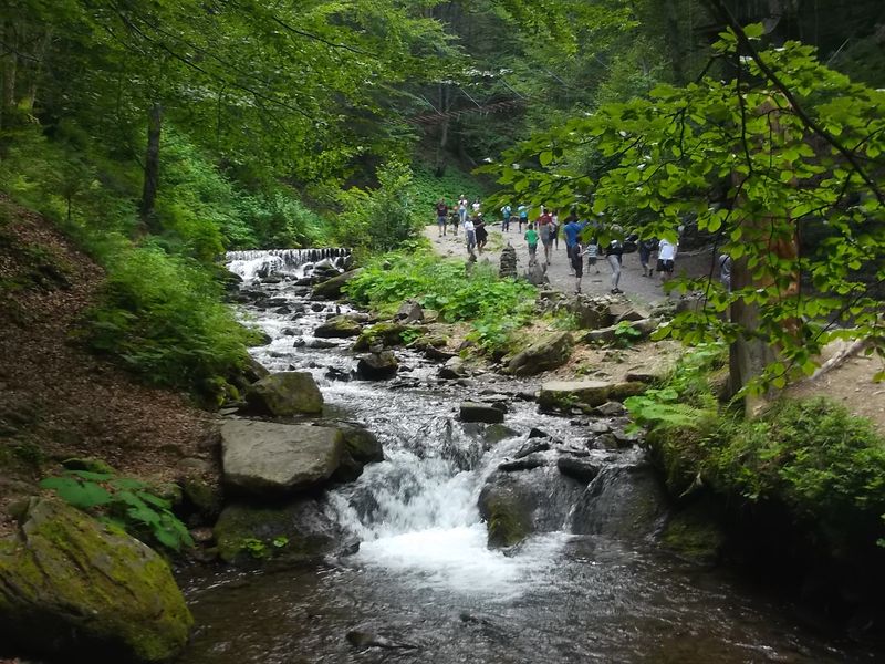 © Andrei  Kolyaskin - Near  waterfalls  Shypit  in  village    Pylypets  of  Mezhygirya  area  Zacarpatian  region , Ukraine .