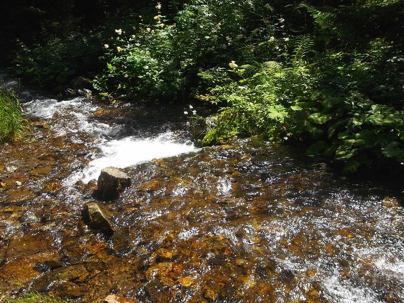 © Andrei  Kolyaskin - On  the  Synevir  Park  in  village  Synevir  of  Mezhygirya  area  Zacarpatian  region , Ukraine .