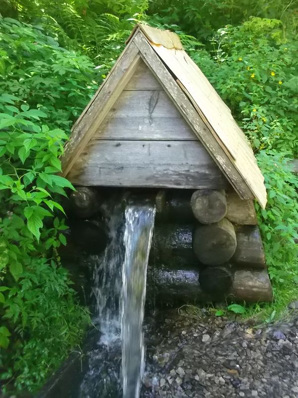 © Andrei  Kolyaskin - On  the  Synevir  Park  in  village  Synevir  of  Mezhygirya  area  Zacarpatian  region , Ukraine .