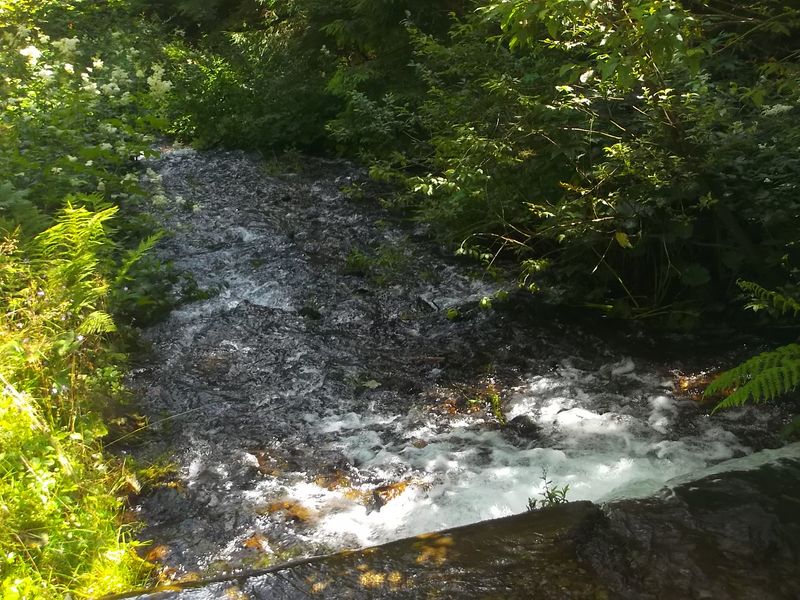 © Andrei  Kolyaskin - On  the  Synevir  Park  in  village  Synevir  of  Mezhygirya  area  Zacarpatian  region , Ukraine .