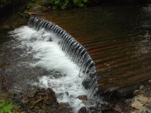 Synevir  and  Pylypets 1