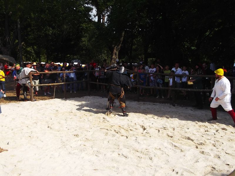 © Andrei  Kolyaskin - Image from the Festival  Galician  Chivalry  in  Galych  13 photography project